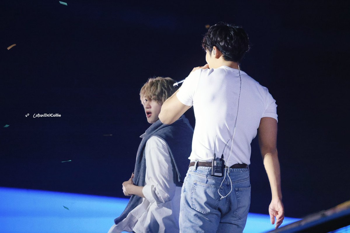 𝗖𝗼𝘁𝗼𝗻 𝑑𝑒 𝗖𝗼𝗹𝗹𝗶𝗲 tweet media