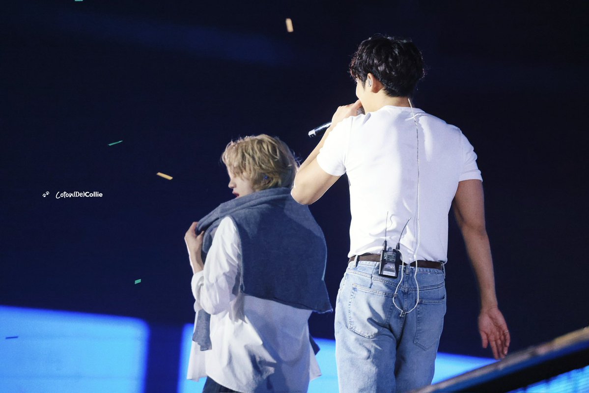 𝗖𝗼𝘁𝗼𝗻 𝑑𝑒 𝗖𝗼𝗹𝗹𝗶𝗲 tweet media