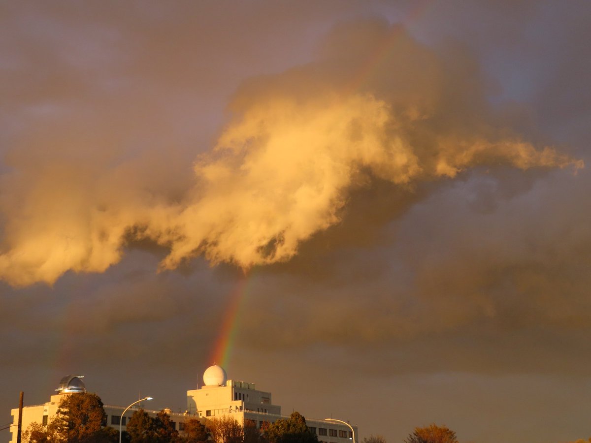 川瀬宏明 tweet media