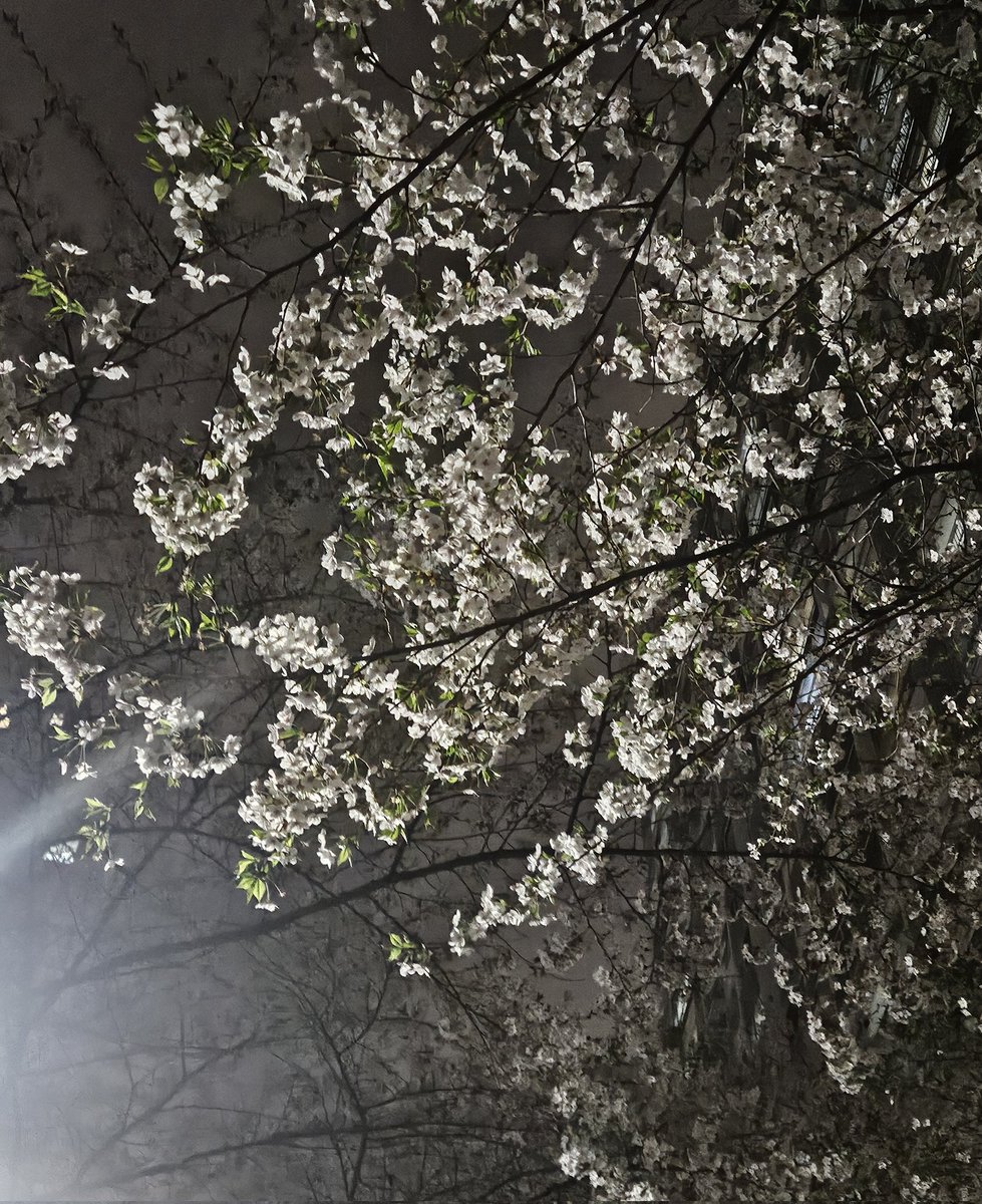 랑호@타오 온라인시청회 모집 중 tweet media