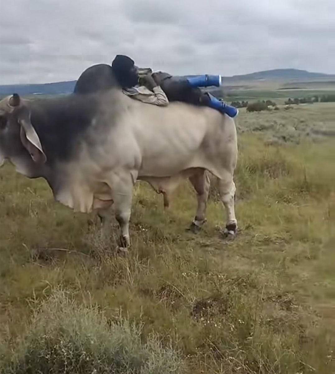 Mondli-Wan Kenobi 🗡️ tweet media