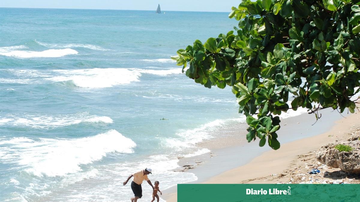 Diario Libre tweet media