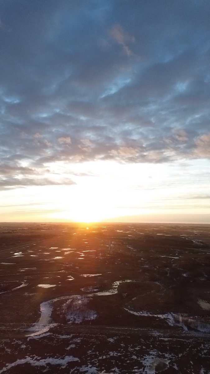 Dylan Bertholet tweet media