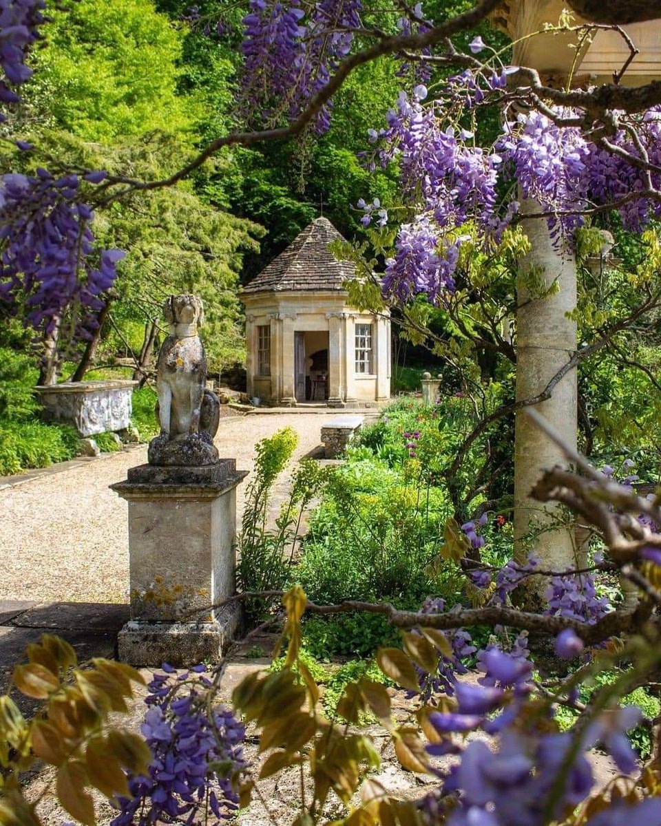 Mary 💚🕊🌿 tweet media