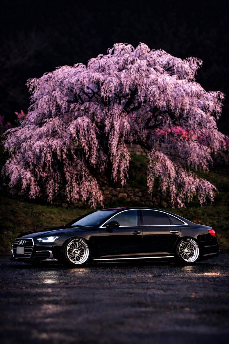お久しぶりです👏
めちゃかっこええやん🥺💥
※すぐ消す
#アウディ #audi #a8 #チャットgpt #又兵衛桜 #桜 #夜桜 #桜と車