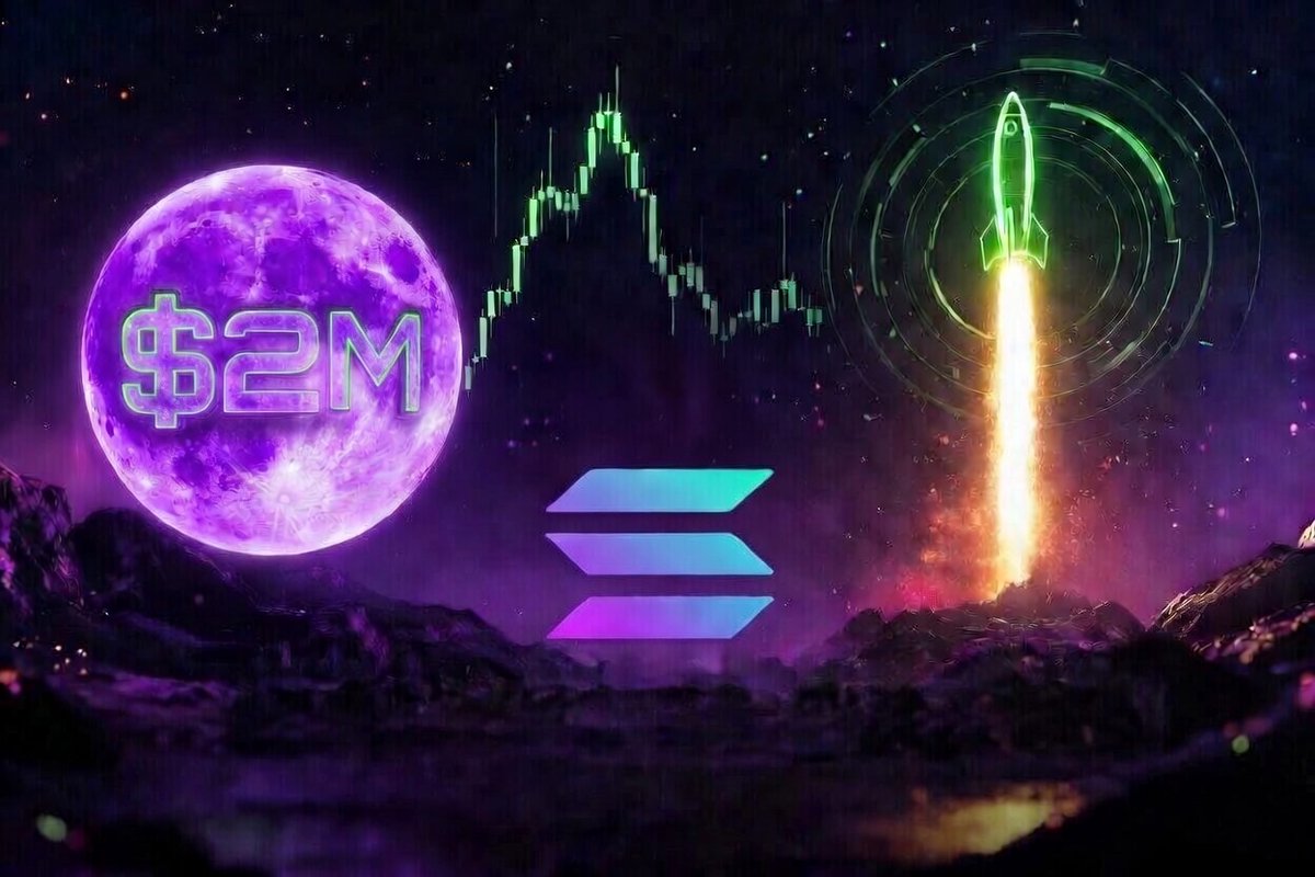 S2M / THE VOID tweet media