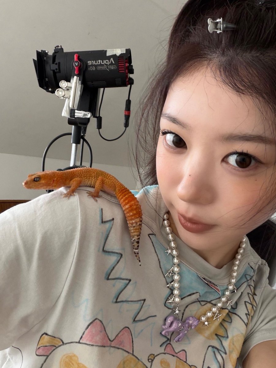 ILLIT WEVERSE tweet media