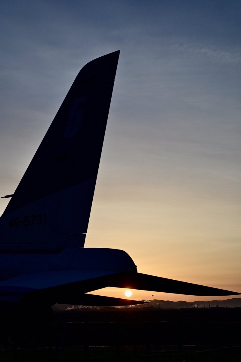 はむにゃん@写真 tweet media