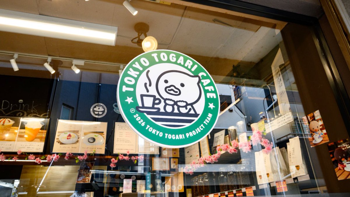 トガリちゃんねる tweet media