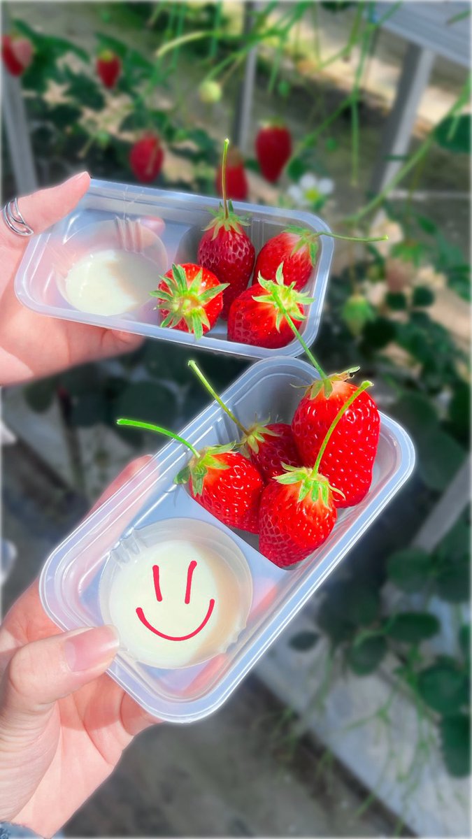 𝚂𝚞𝚣𝚞 tweet media