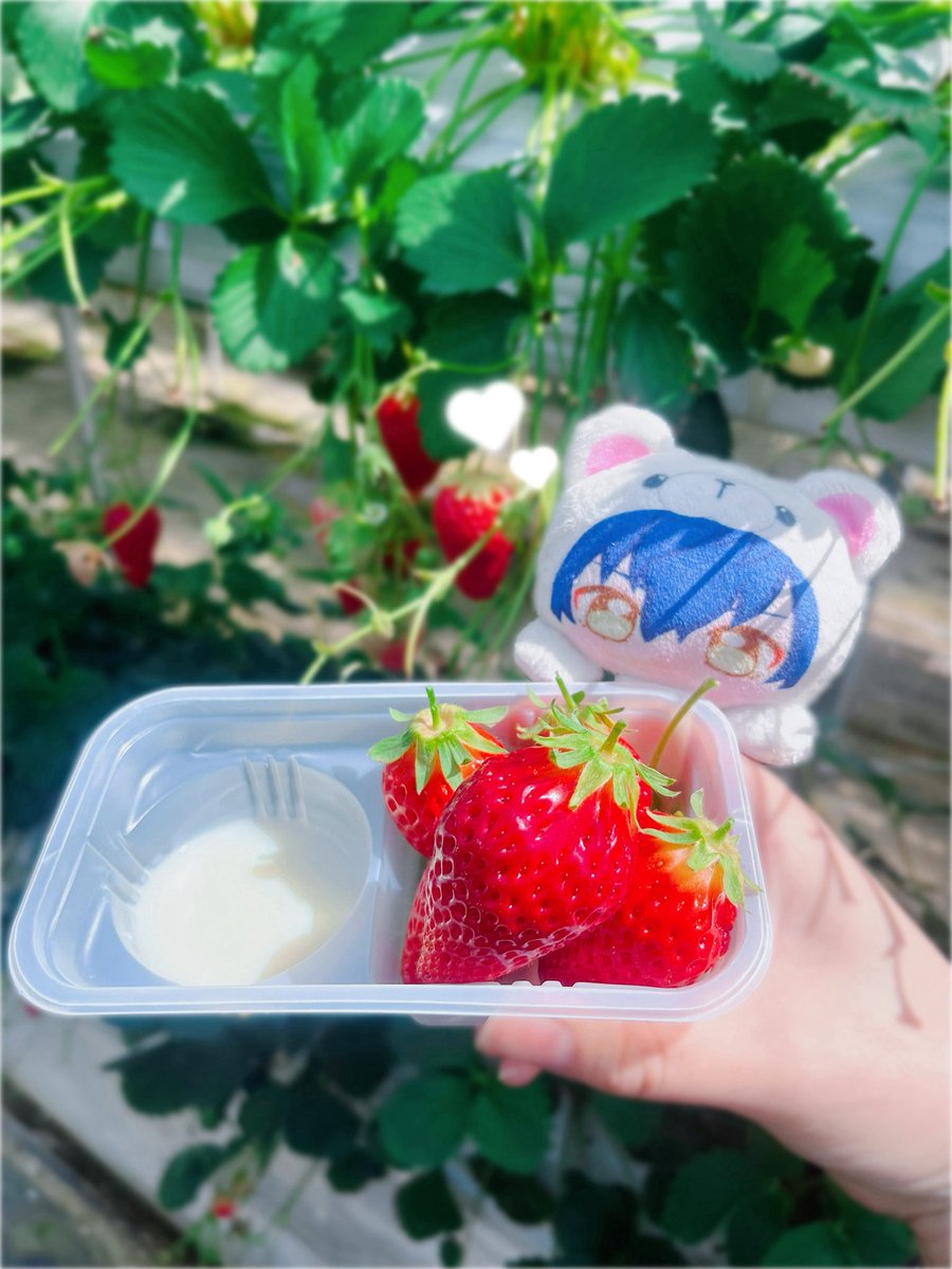 𝚂𝚞𝚣𝚞 tweet media