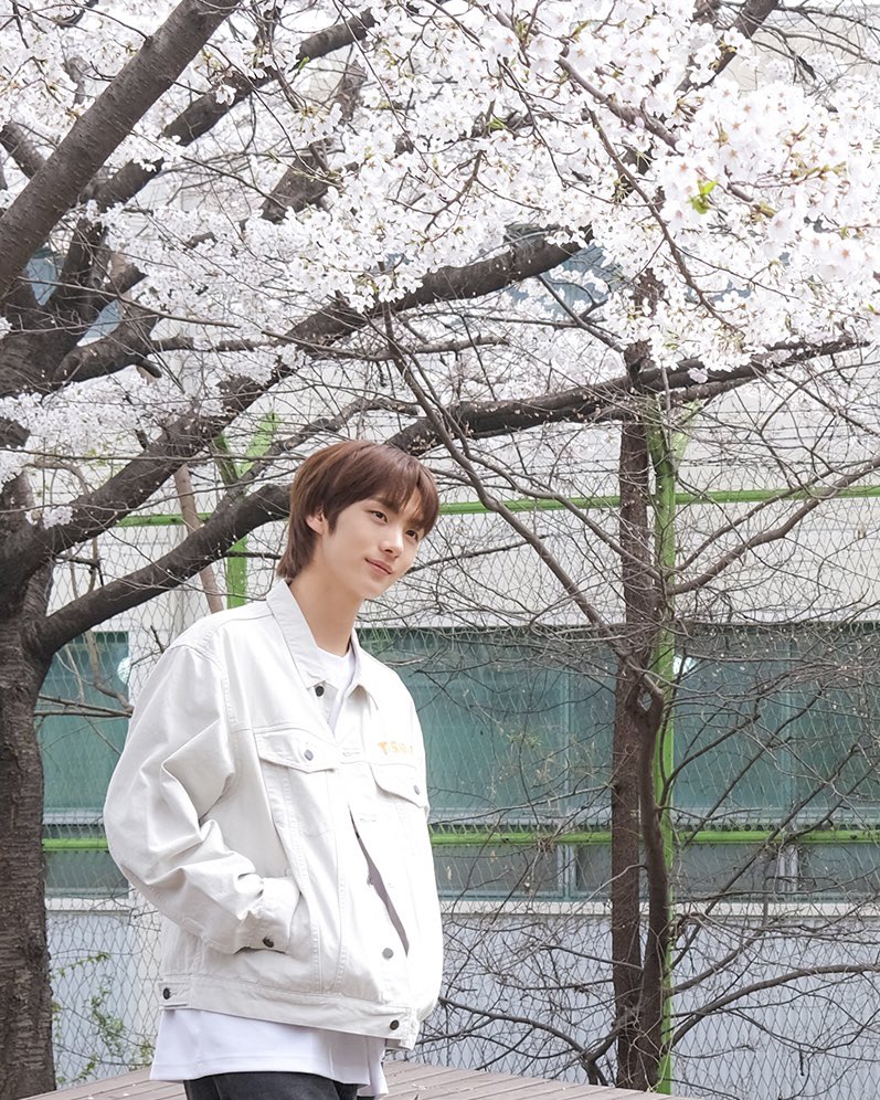 예쁜 영재 tweet media