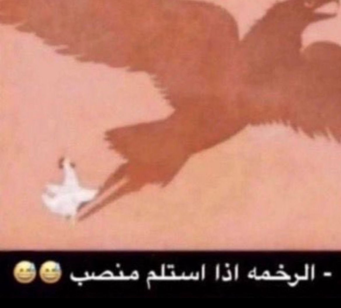 Y O🌧️ tweet media