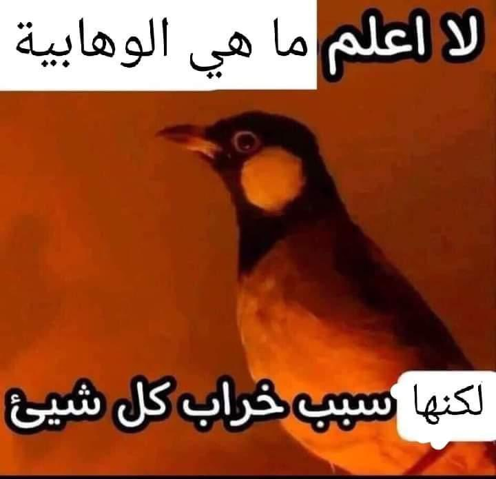 استغفر الله tweet media