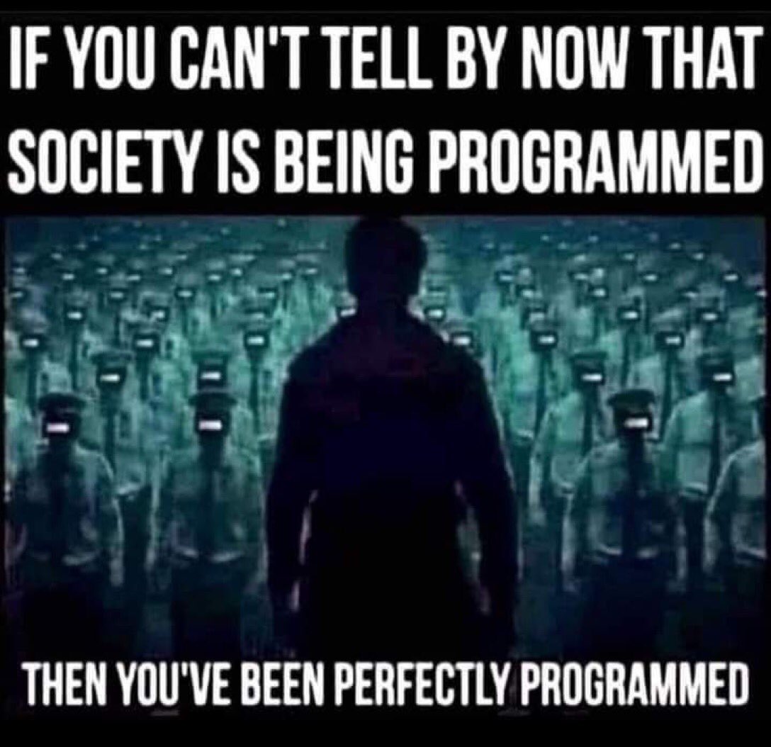 Johnny Naylor tweet media