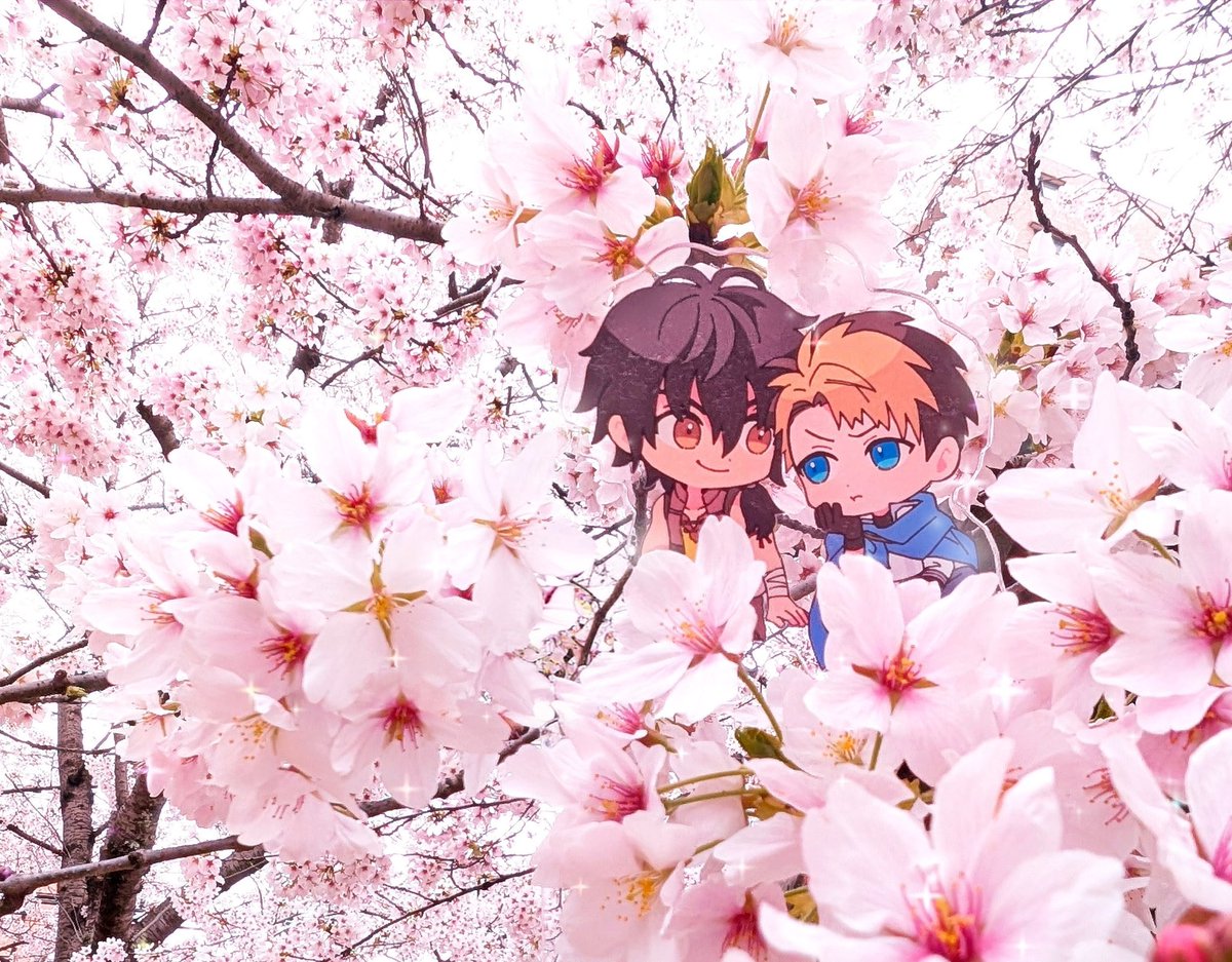 桜🌸今日は雨だったから今週までかなー