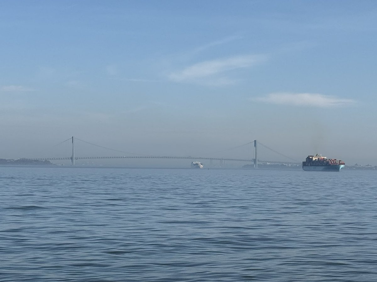 ember loves bay ridge tweet media