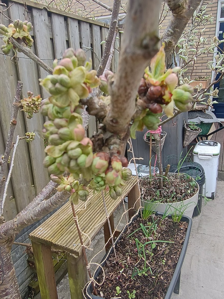 SmokerJoe tweet media