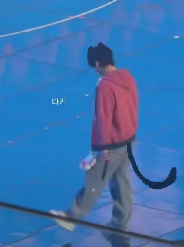 fox ●ᴥ● tweet media