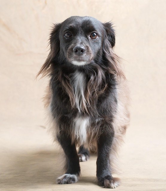 Carl Baird tweet media