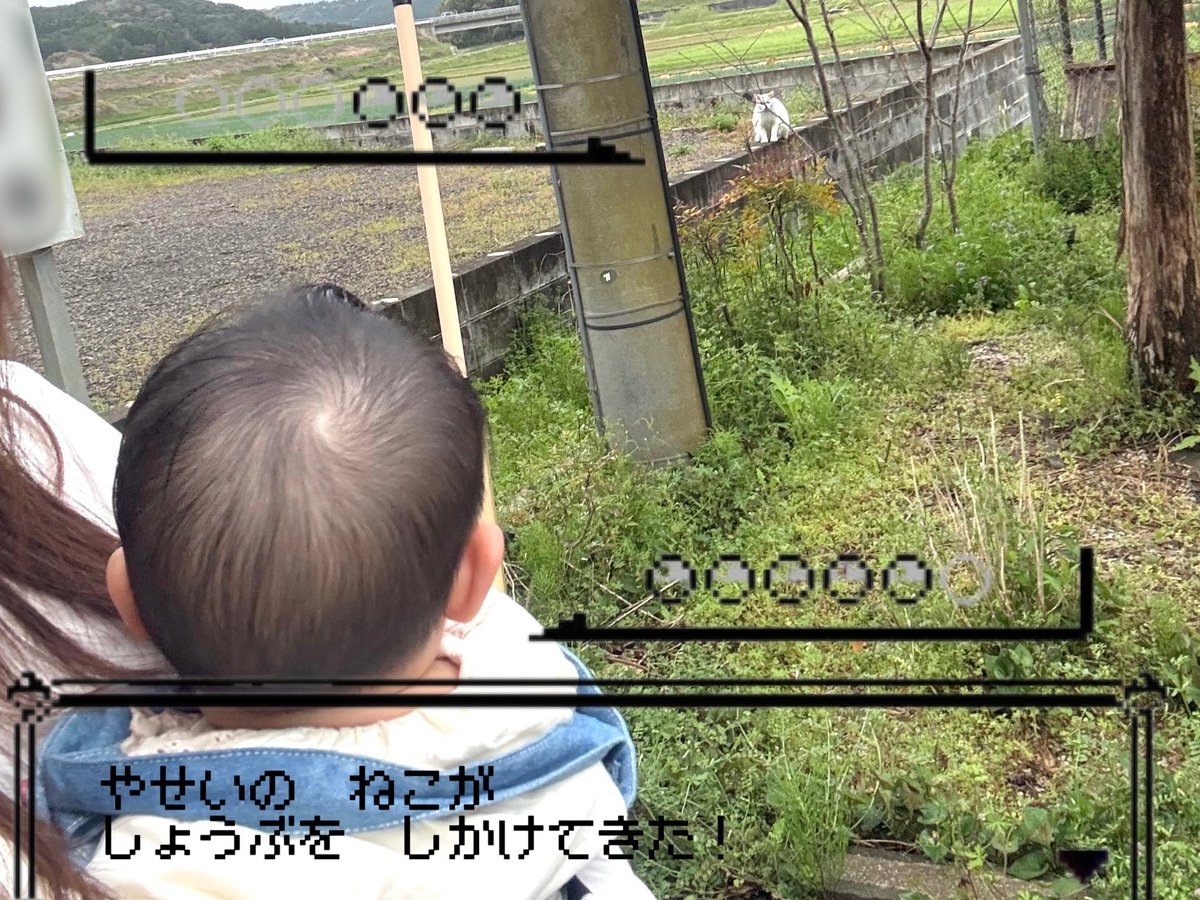 にわとり☺︎ 6m tweet media