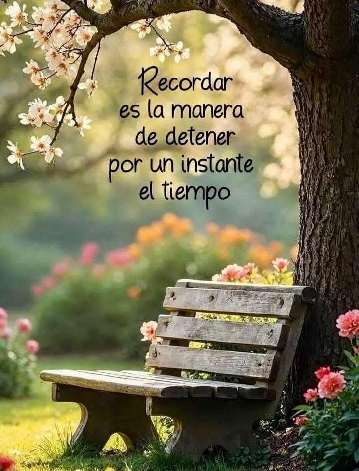 VidaEquilibrada tweet media