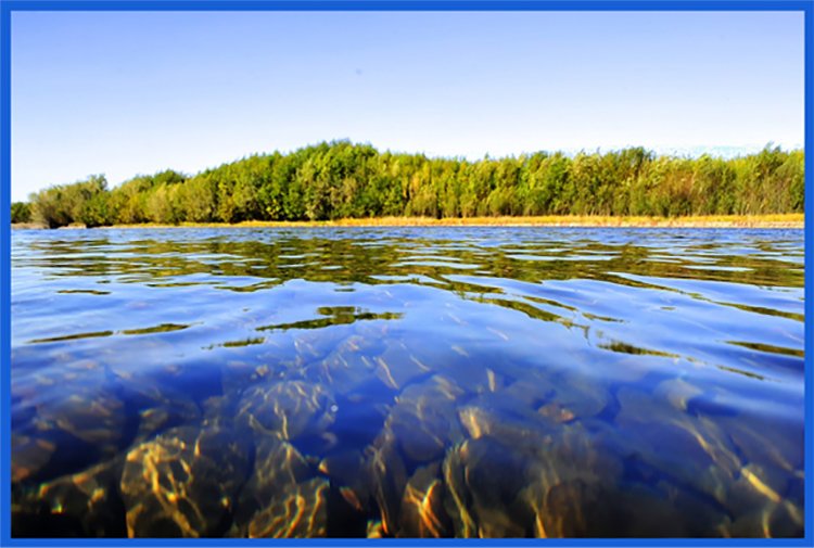 Баклаврант tweet media