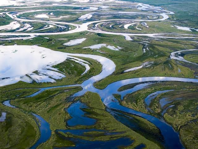 Баклаврант tweet media