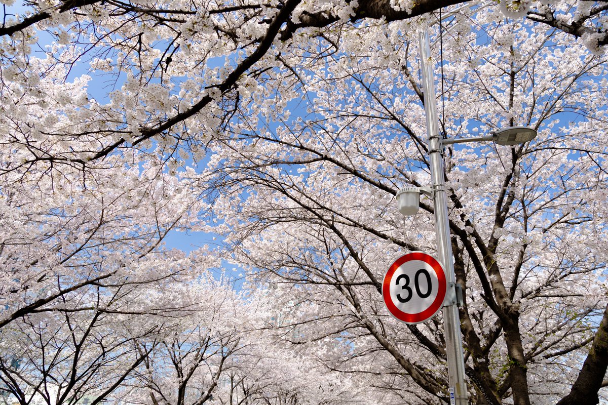 함바그 tweet media