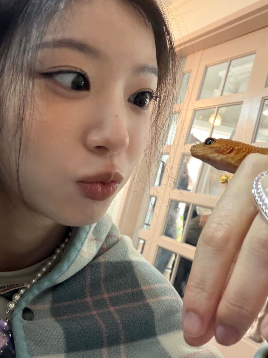 ILLIT NEWS tweet media