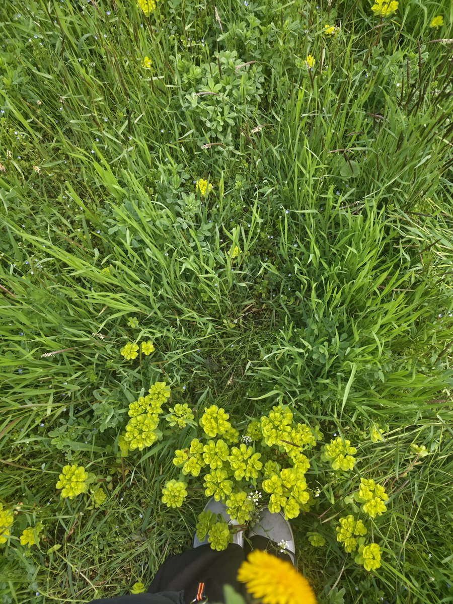 bir_kul_🕊FATIMA🕊1ikonuşuyor tweet media