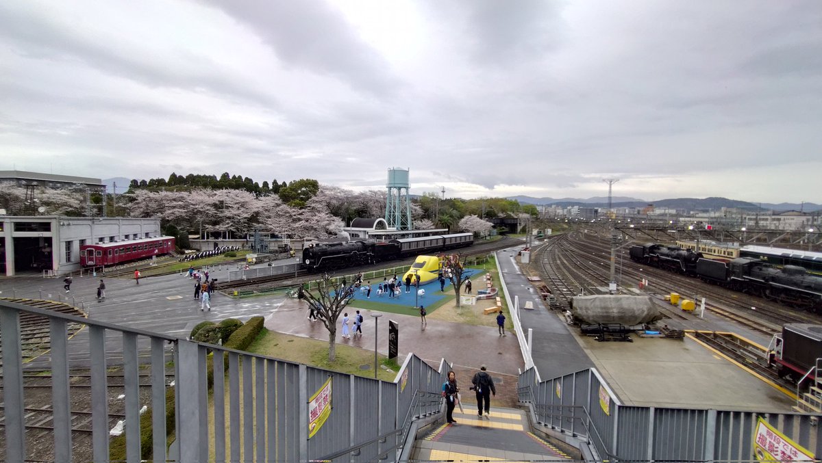 さかちゃん☀🌓 tweet media