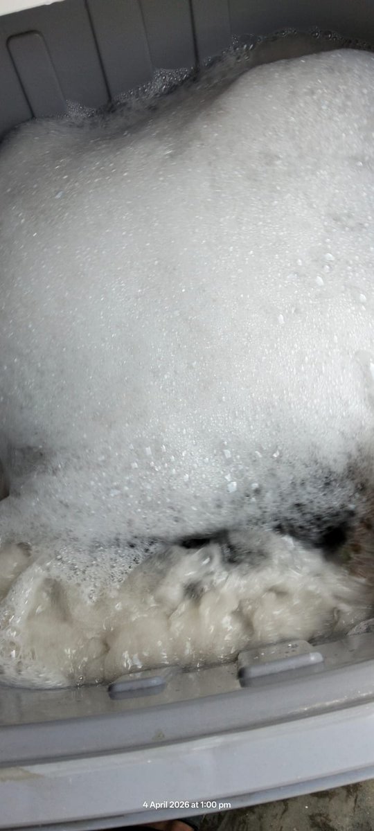 ملک_ایلیا tweet media