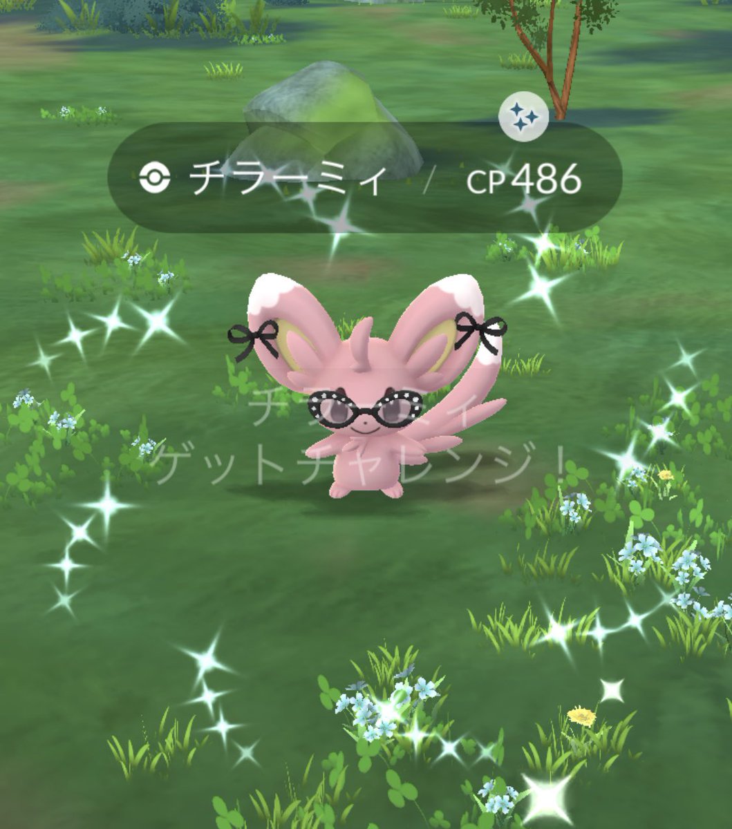 ねんねちゃん🐲 tweet media