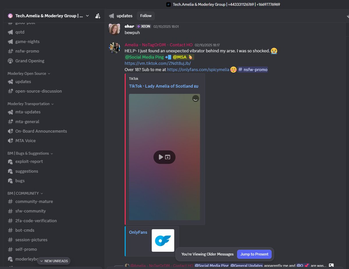 eepyrabbit's tweet photo. Green Party Officer Amelia Connolly (convicted for possessing offensive images) runs a Roblox Discord server with 1k young users that promotes inappropriate content to kids with no age checks. 

Adult content is promoted in tandem with Roblox - a game intended for young children https://t.co/fmRAq1BAEO