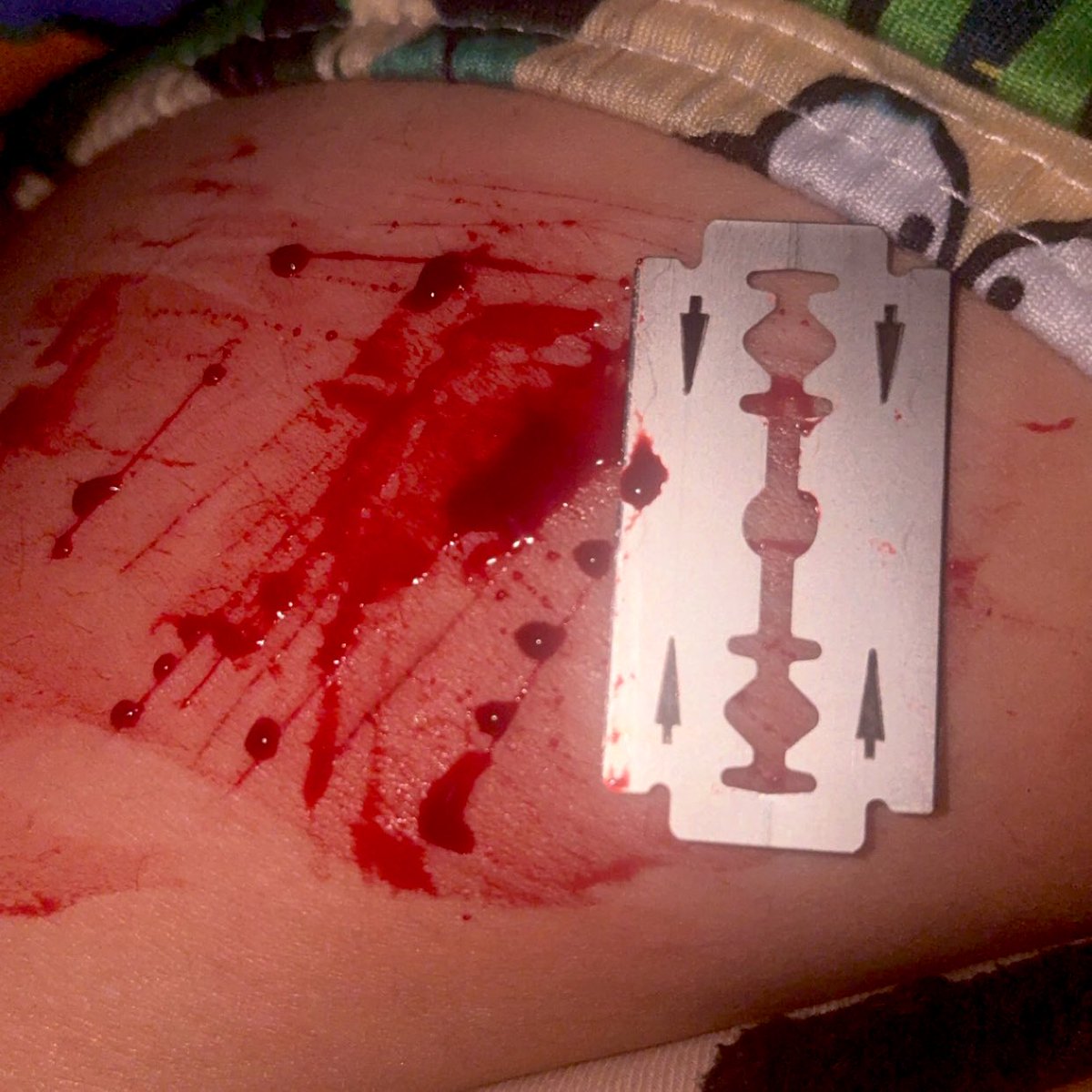 chua ⊹ ࣪ ˖ ꜱʜᴇᴅᴛᴡᴛ tweet media