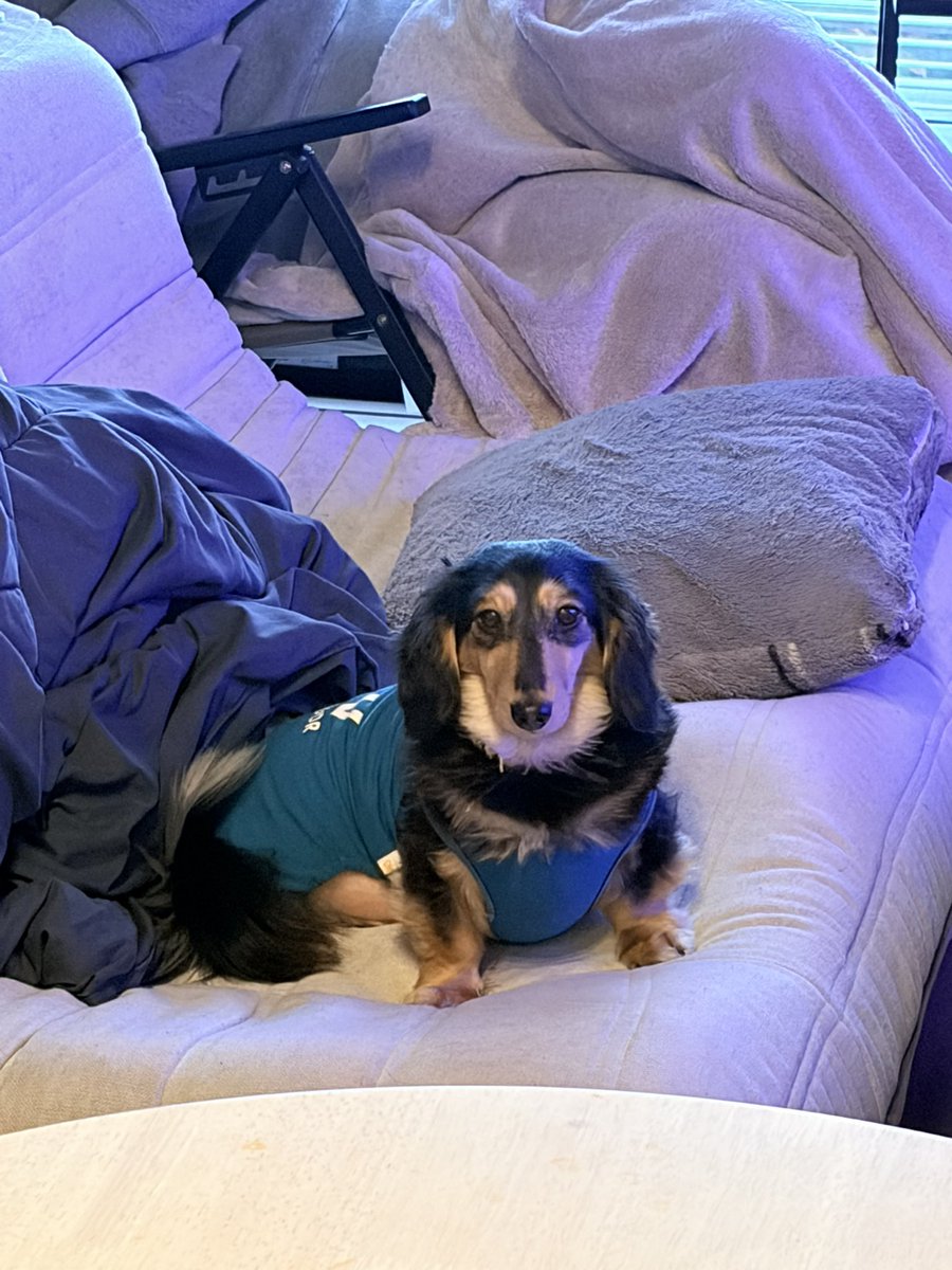 natsumi🪴 tweet media