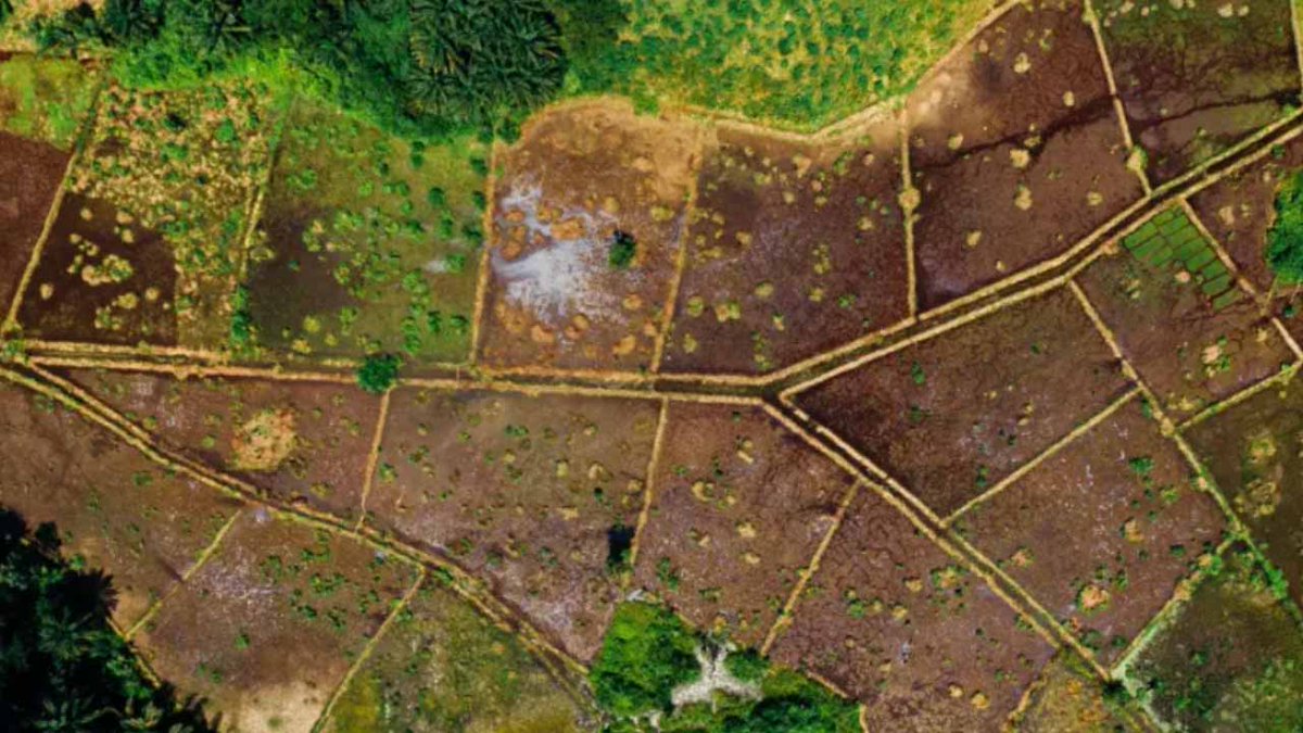 Tarımdan Haber tweet media