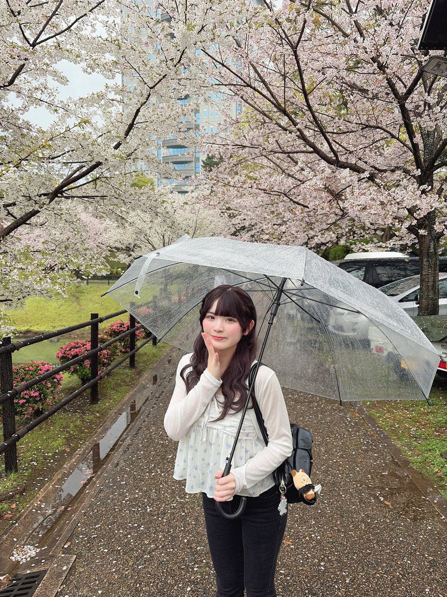 有栖もか𓈒𓏸びーだまの地球儀 tweet media