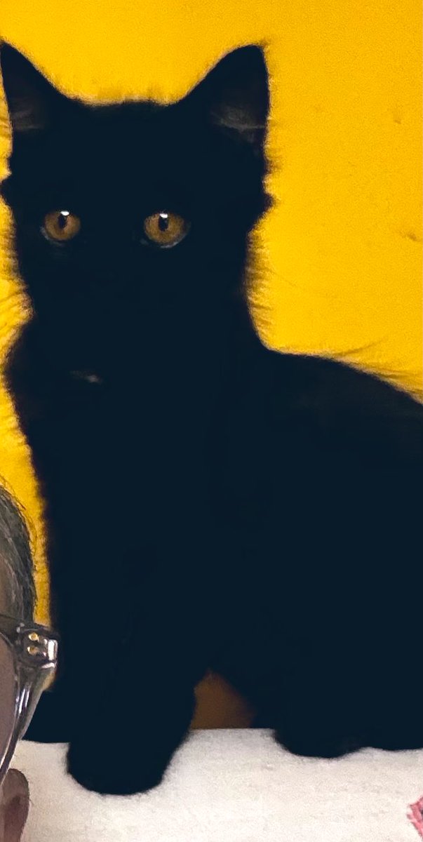 kind avatar tweet media