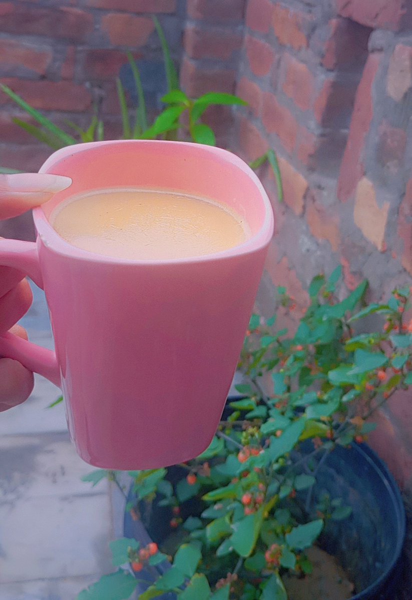 Mahwish Javaid 🇵🇰 tweet media