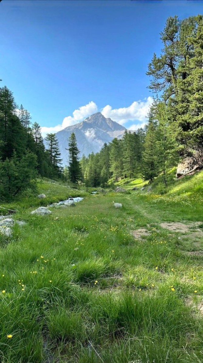 Iampaquetta tweet media