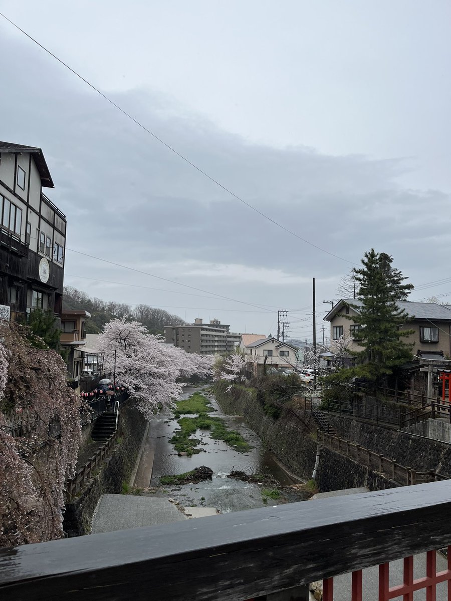 ちゃなかさん tweet media