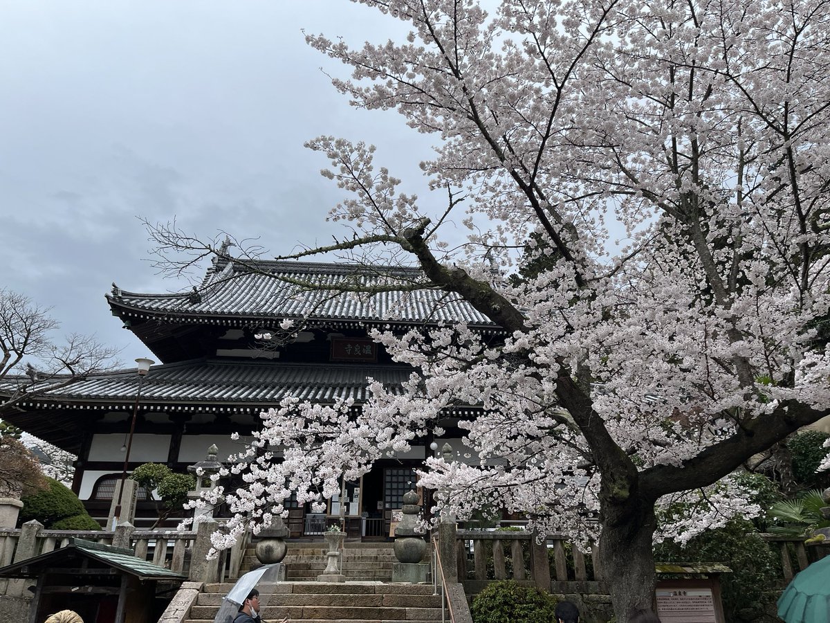 ちゃなかさん tweet media