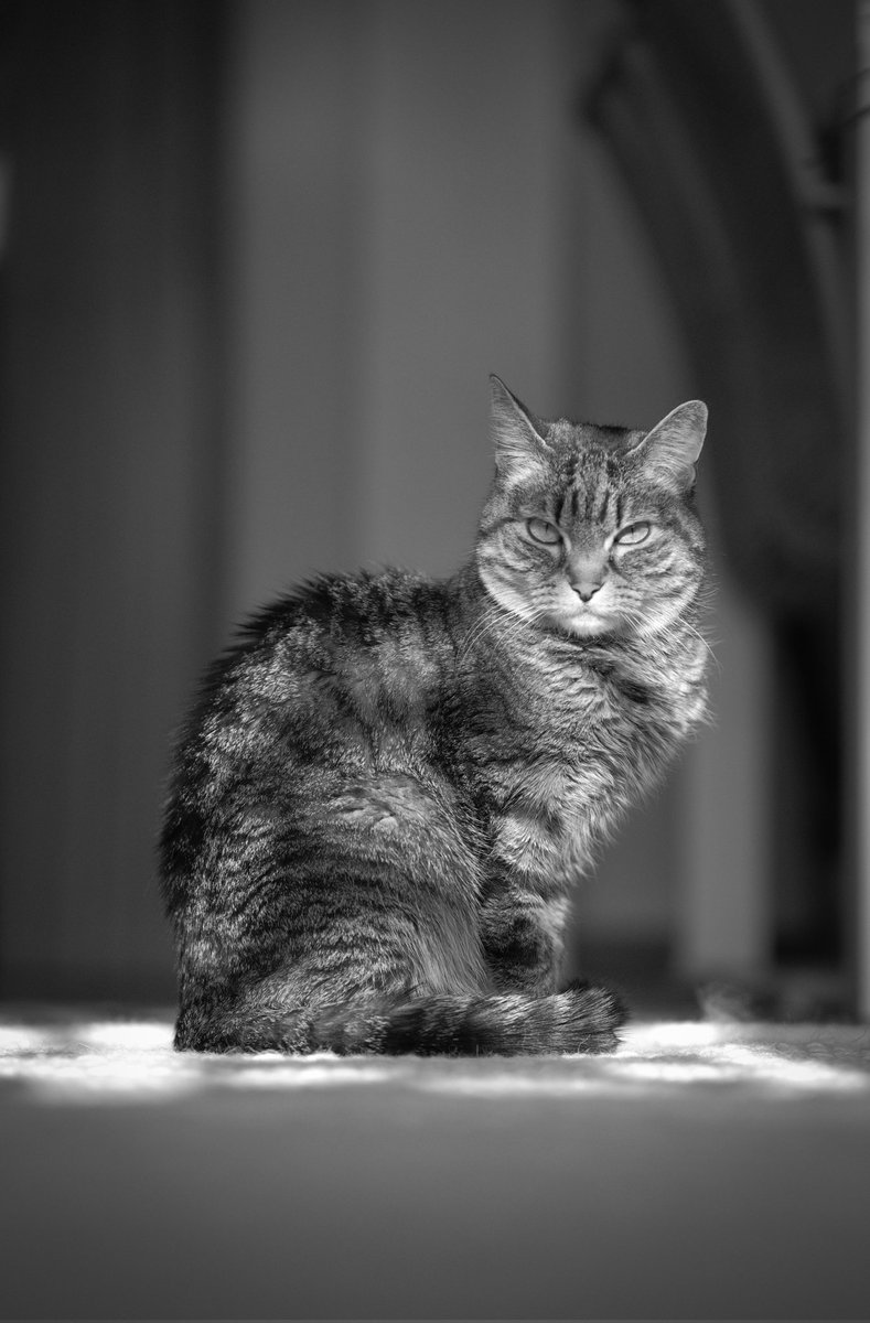 David de la Iglesia 📷 🍉 tweet media