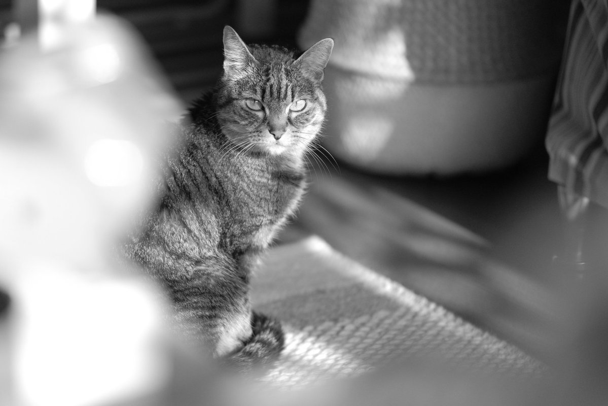 David de la Iglesia 📷 🍉 tweet media