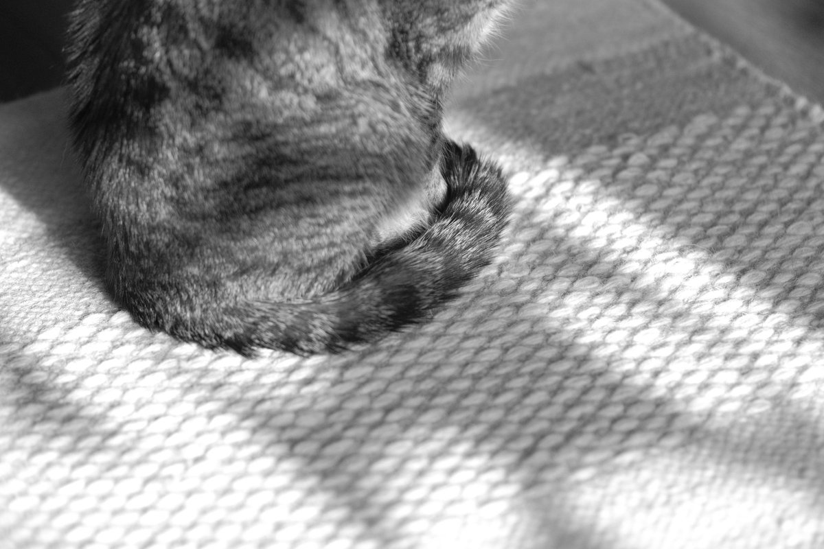 David de la Iglesia 📷 🍉 tweet media