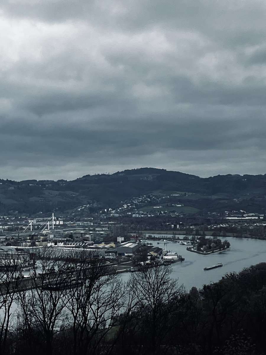 gallenbitter  tweet media