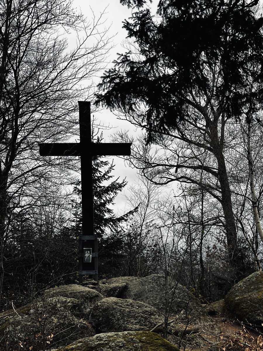 gallenbitter  tweet media