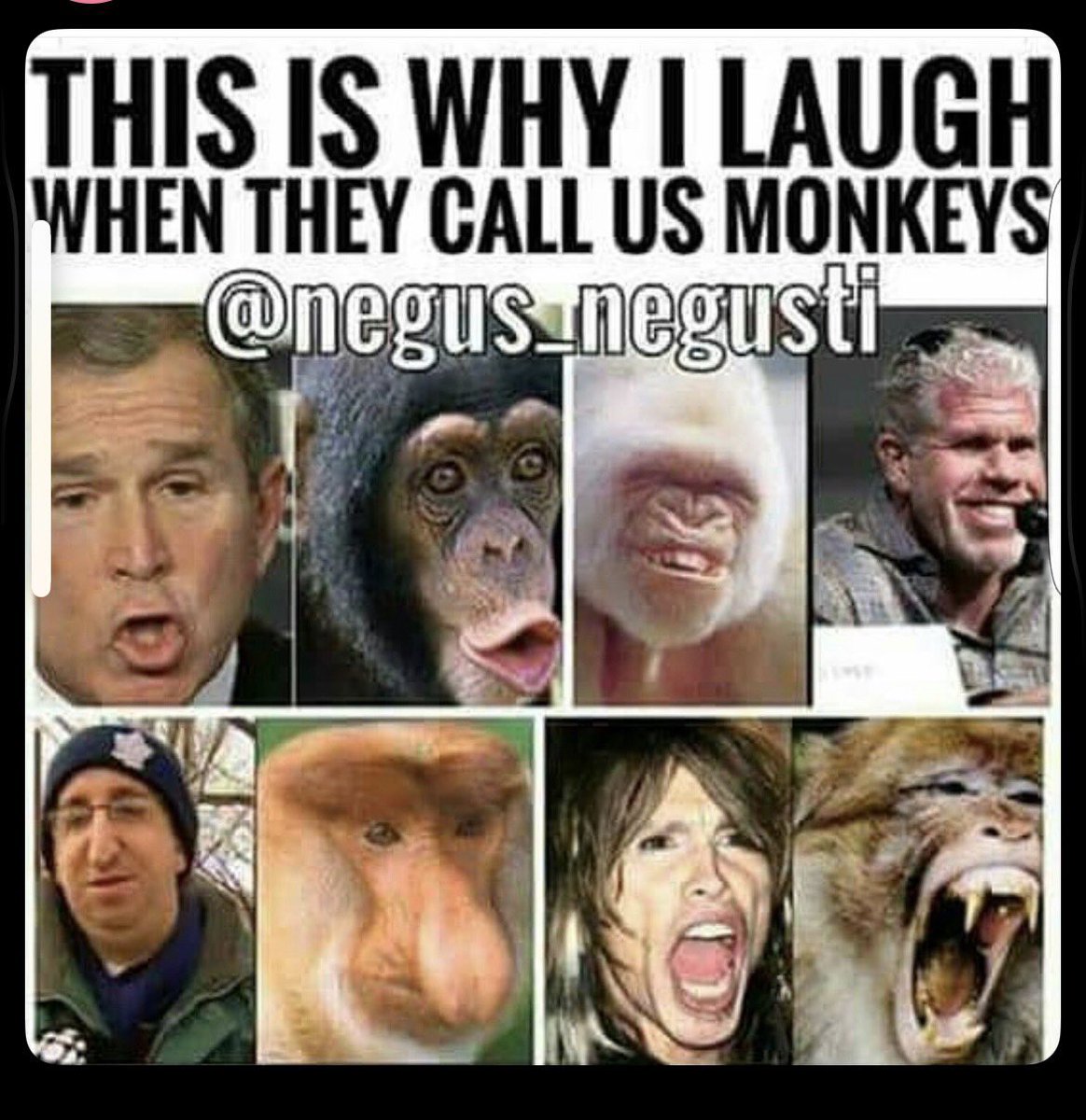 ChicagoDominique tweet media